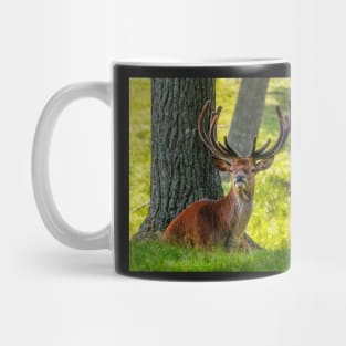 Red Deer Stag Mug